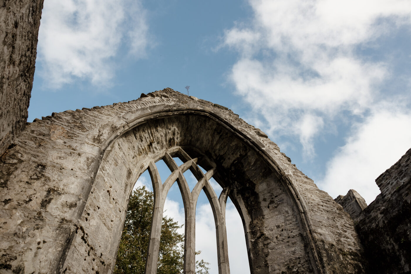 Maria & Andrew’s Wild Irish Elopement at Killarney Abbey 66 01 149 1
